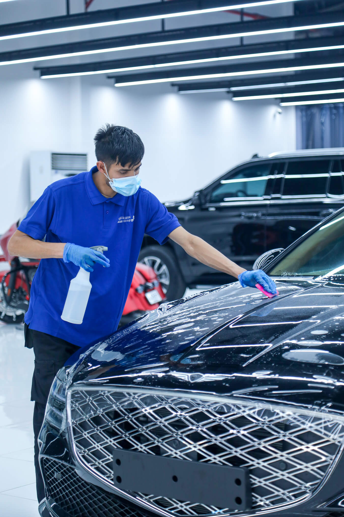 Paint Protection Film